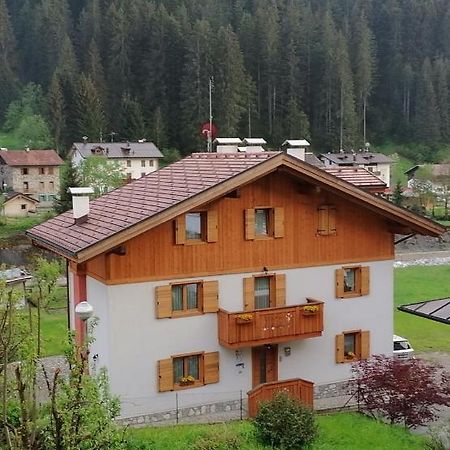 B&B Il Tulipano San Pietro di Cadore Buitenkant foto