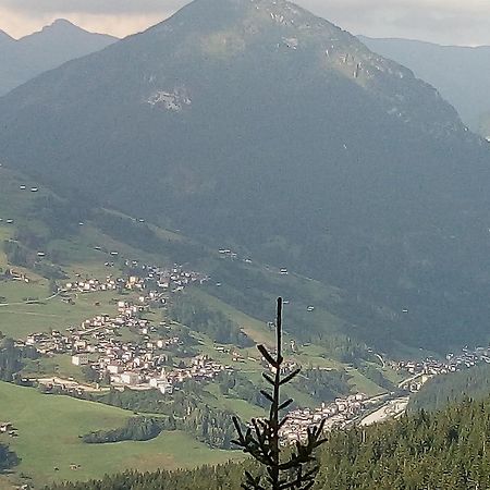 B&B Il Tulipano San Pietro di Cadore Buitenkant foto
