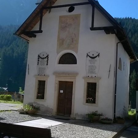 B&B Il Tulipano San Pietro di Cadore Buitenkant foto