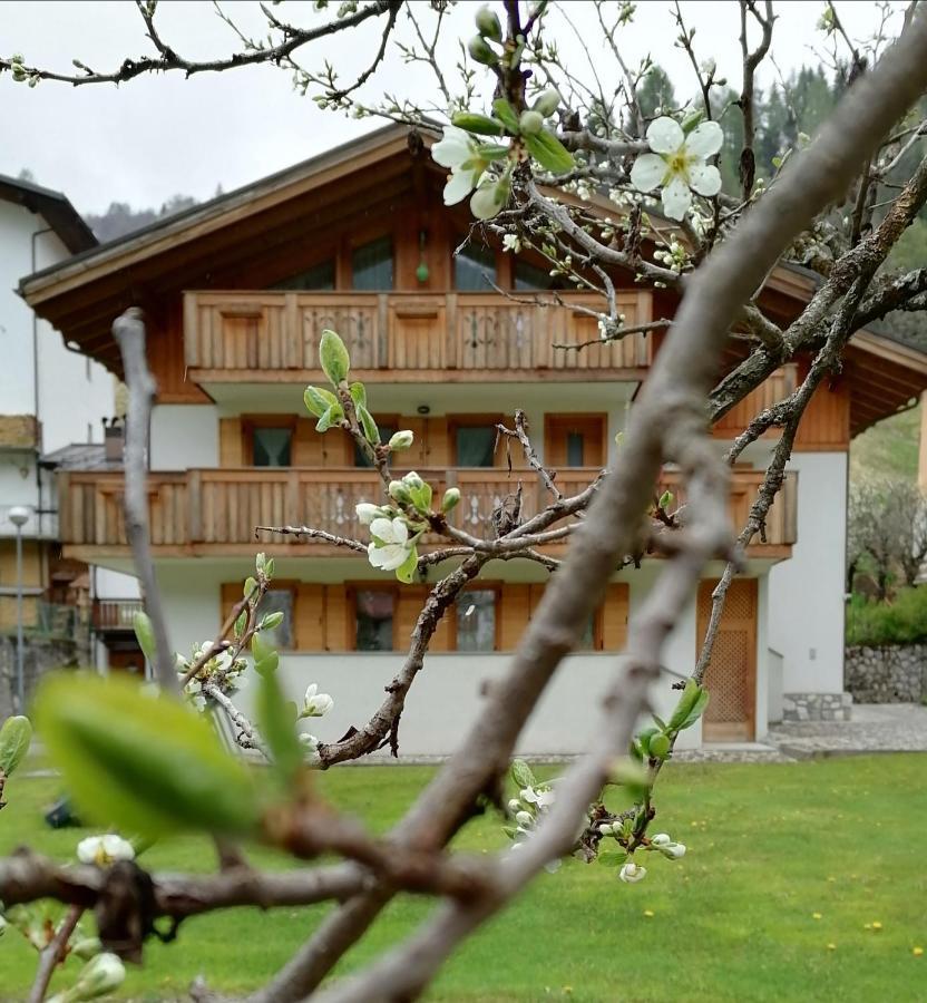 B&B Il Tulipano San Pietro di Cadore Buitenkant foto