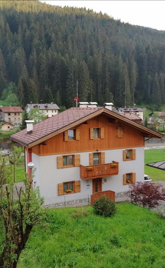 B&B Il Tulipano San Pietro di Cadore Buitenkant foto