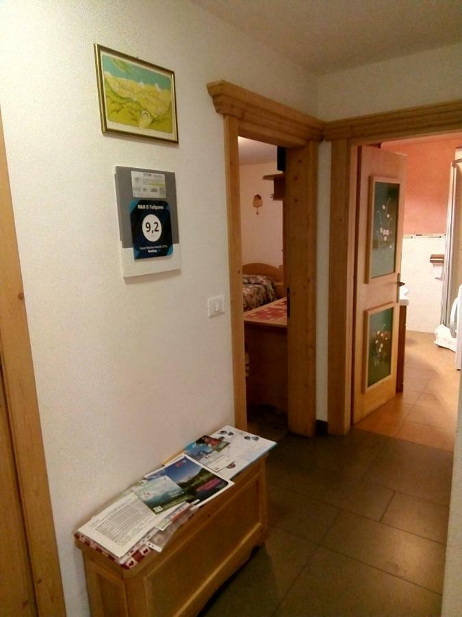 B&B Il Tulipano San Pietro di Cadore Buitenkant foto