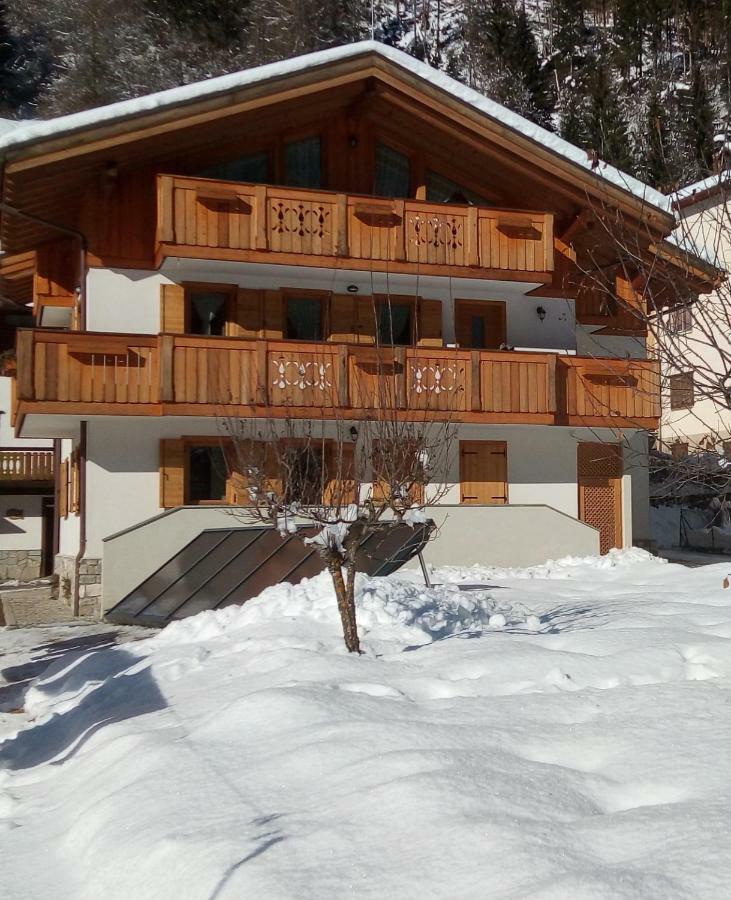 B&B Il Tulipano San Pietro di Cadore Buitenkant foto