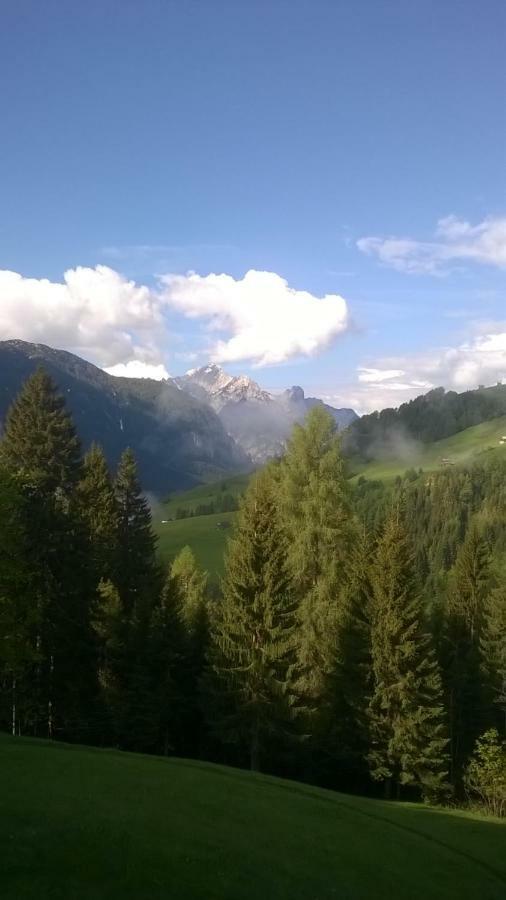 B&B Il Tulipano San Pietro di Cadore Buitenkant foto