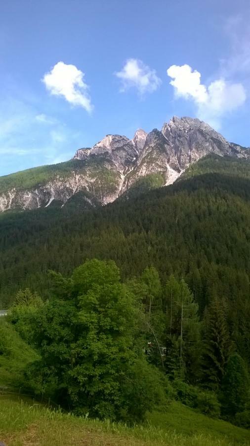 B&B Il Tulipano San Pietro di Cadore Buitenkant foto