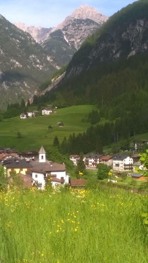 B&B Il Tulipano San Pietro di Cadore Buitenkant foto