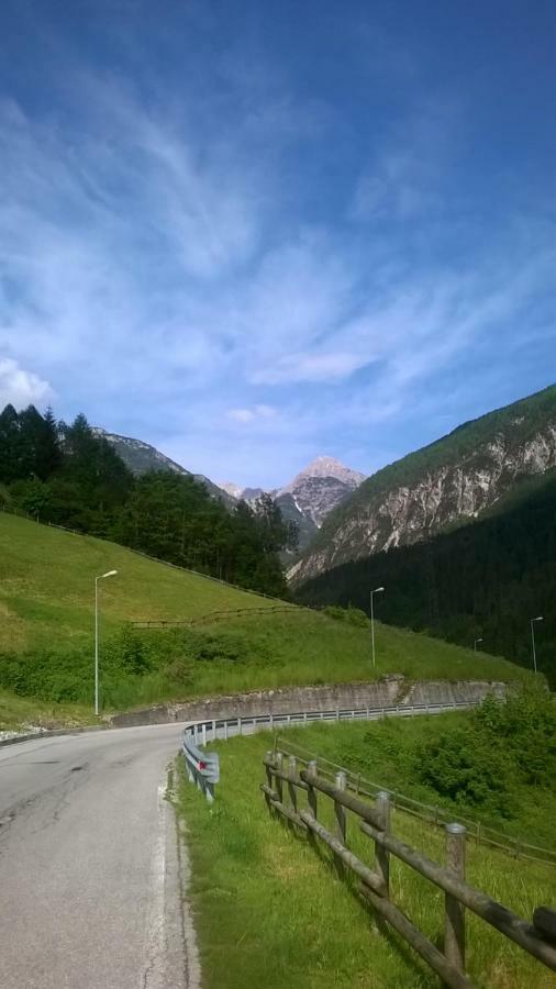 B&B Il Tulipano San Pietro di Cadore Buitenkant foto
