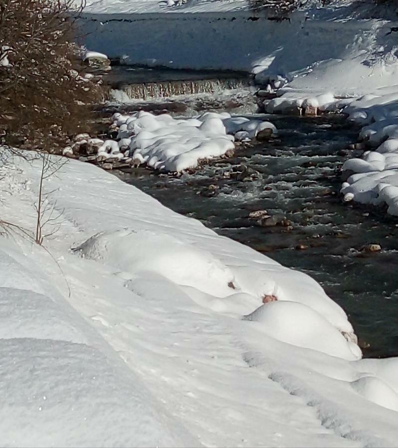 B&B Il Tulipano San Pietro di Cadore Buitenkant foto